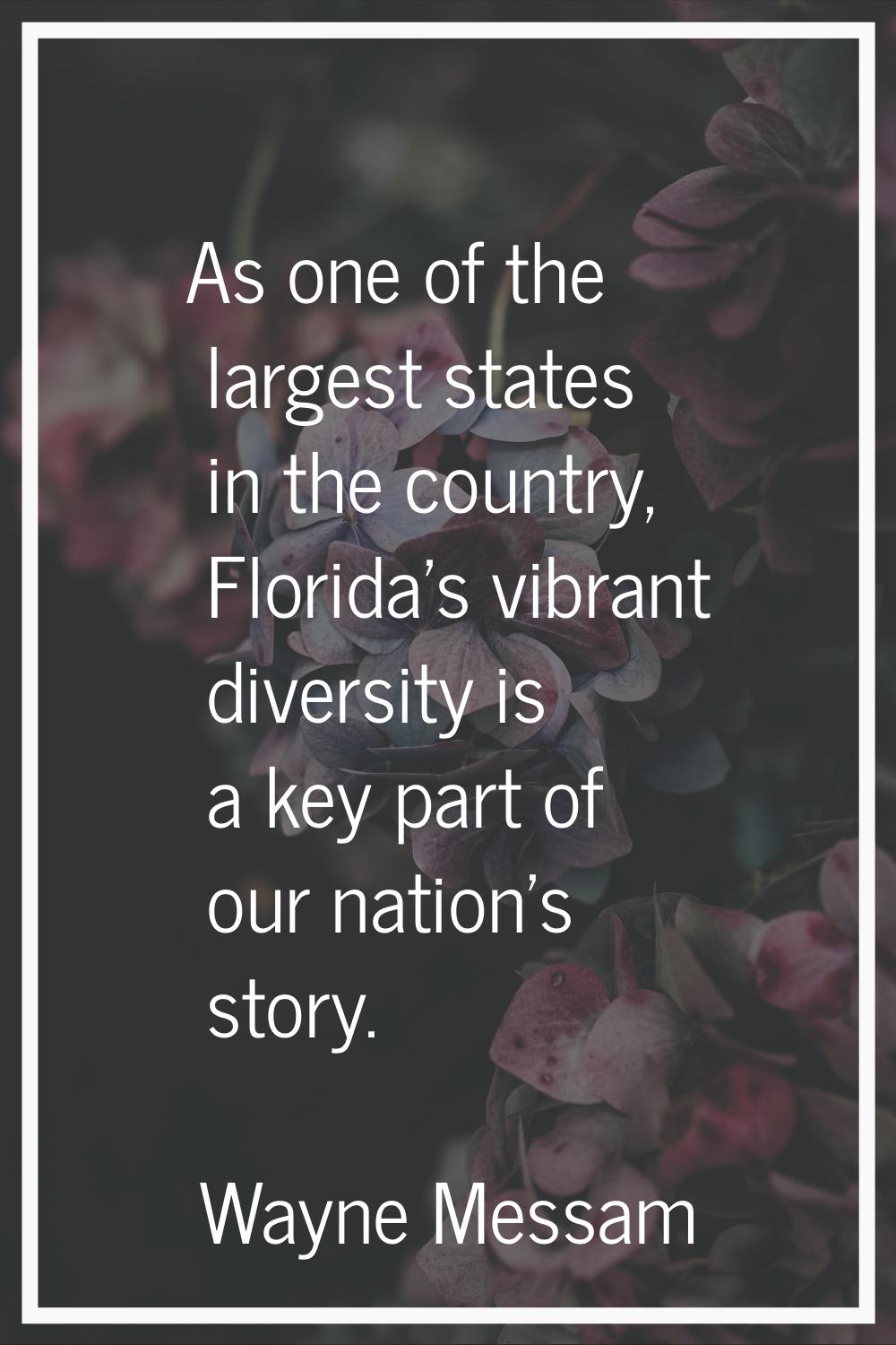 As one of the largest states in the country, Florida's vibrant diversity is a key part of our natio