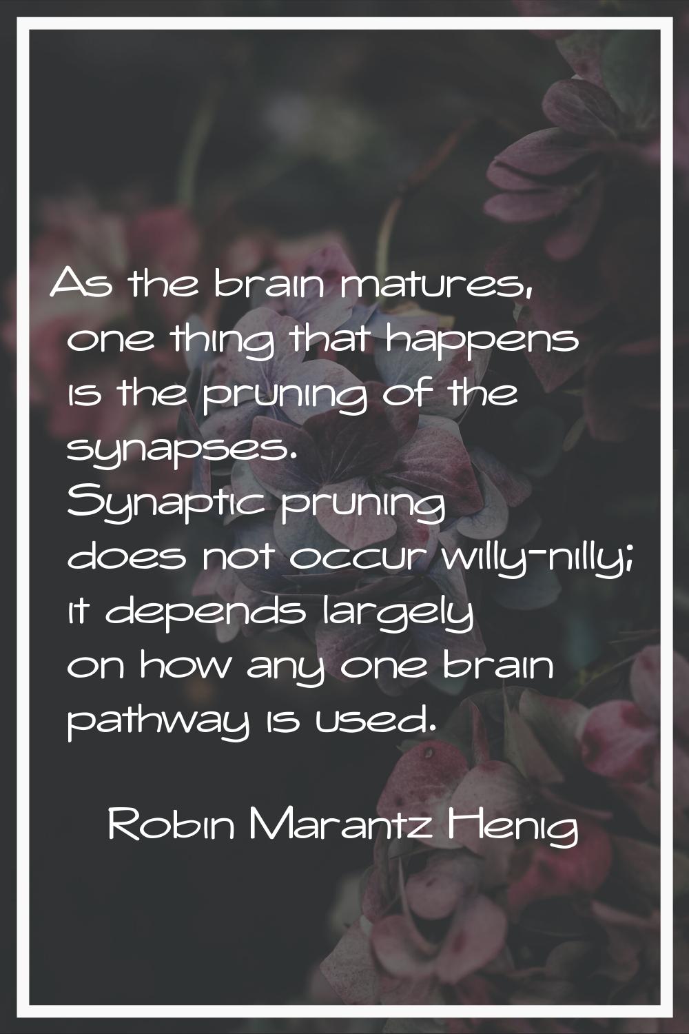 As the brain matures, one thing that happens is the pruning of the synapses. Synaptic pruning does 