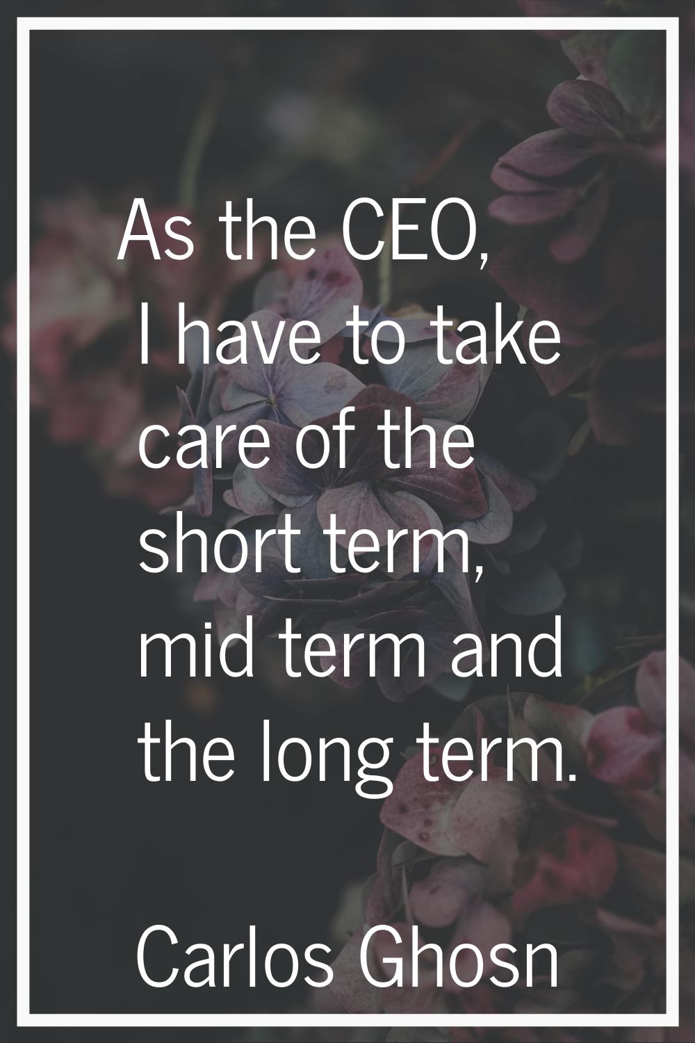 As the CEO, I have to take care of the short term, mid term and the long term.