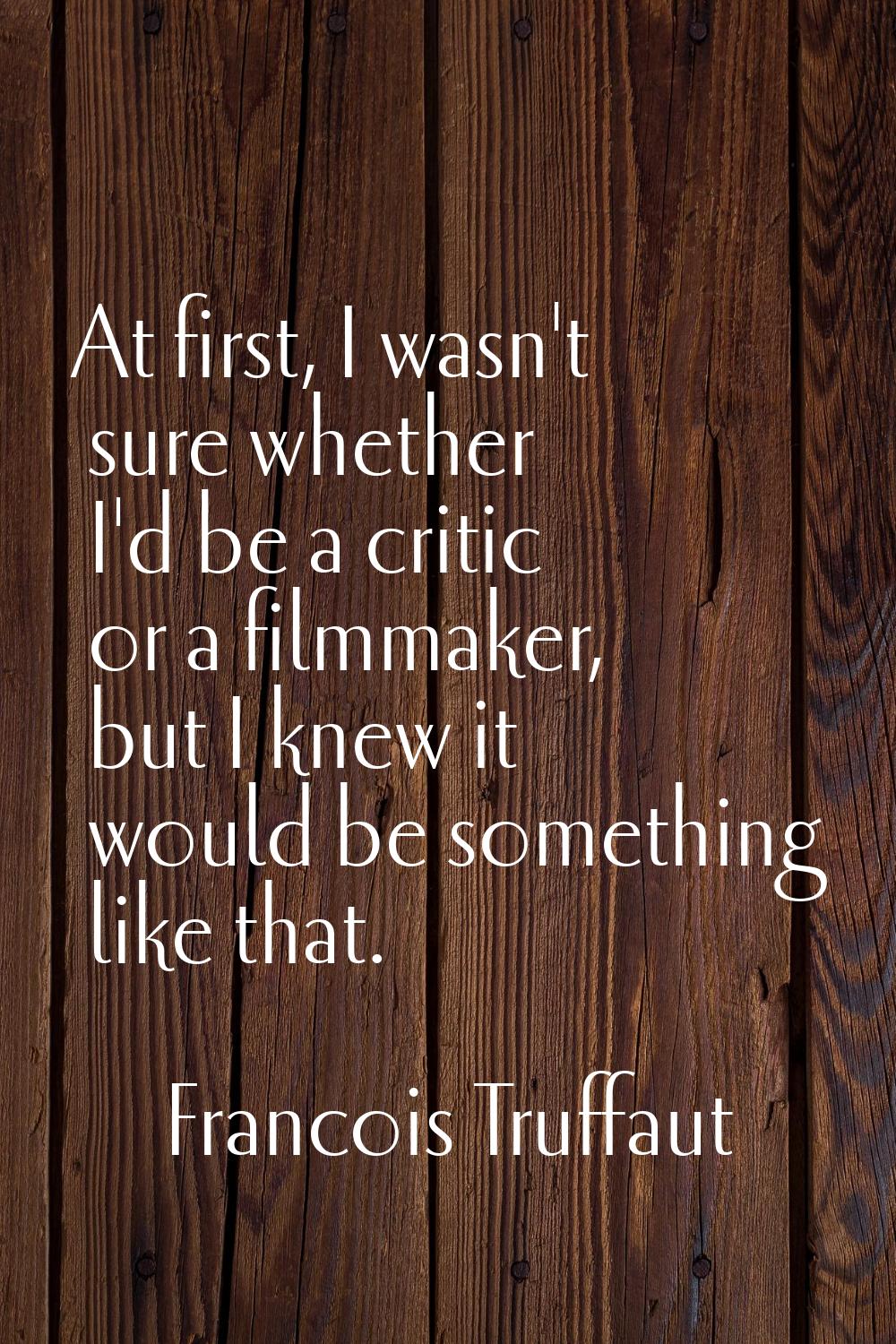 At first, I wasn't sure whether I'd be a critic or a filmmaker, but I knew it would be something li