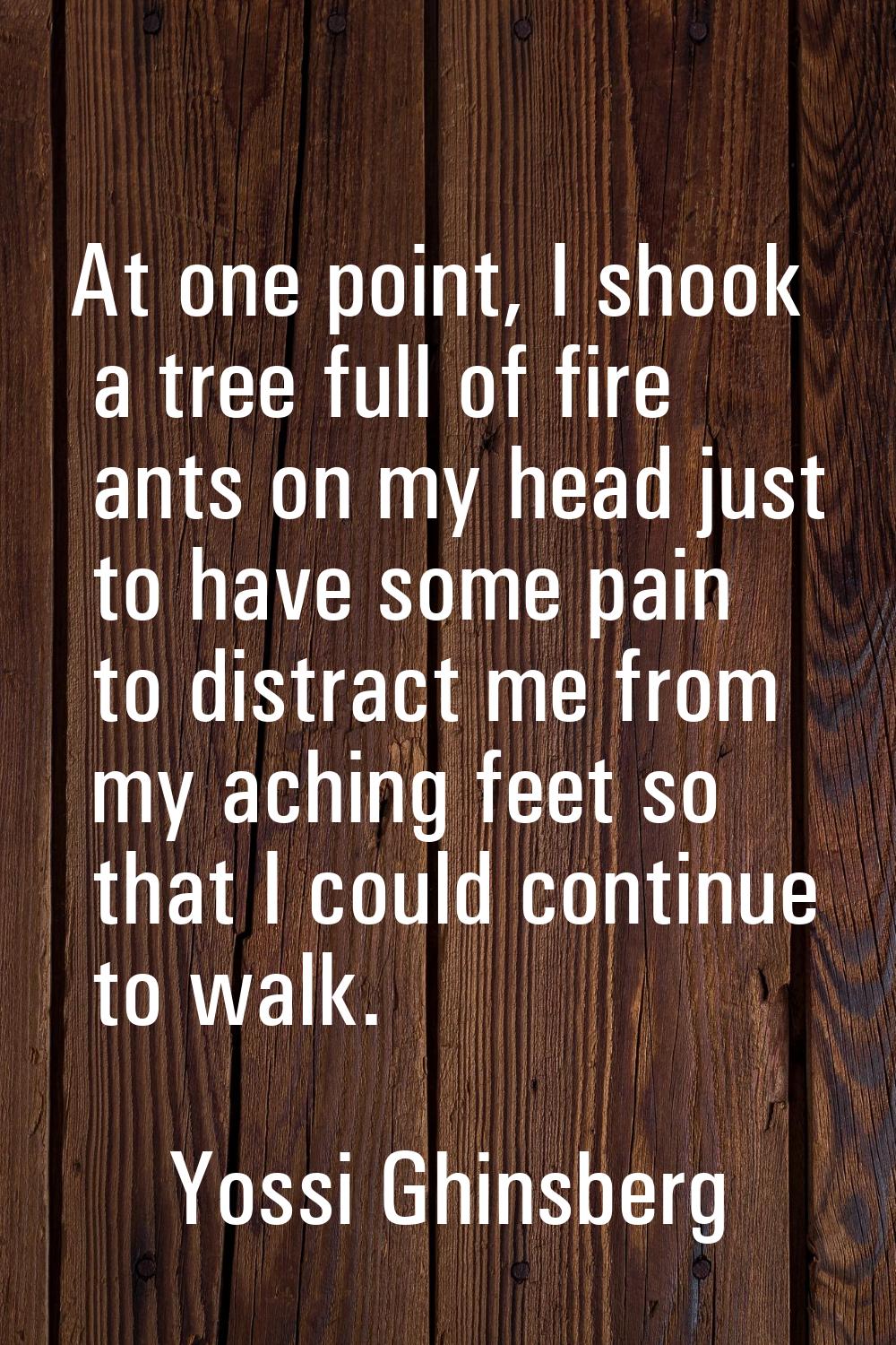 At one point, I shook a tree full of fire ants on my head just to have some pain to distract me fro