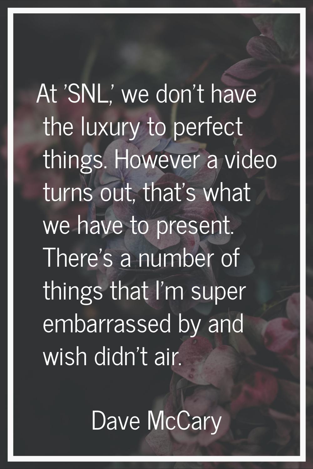 At 'SNL,' we don't have the luxury to perfect things. However a video turns out, that's what we hav