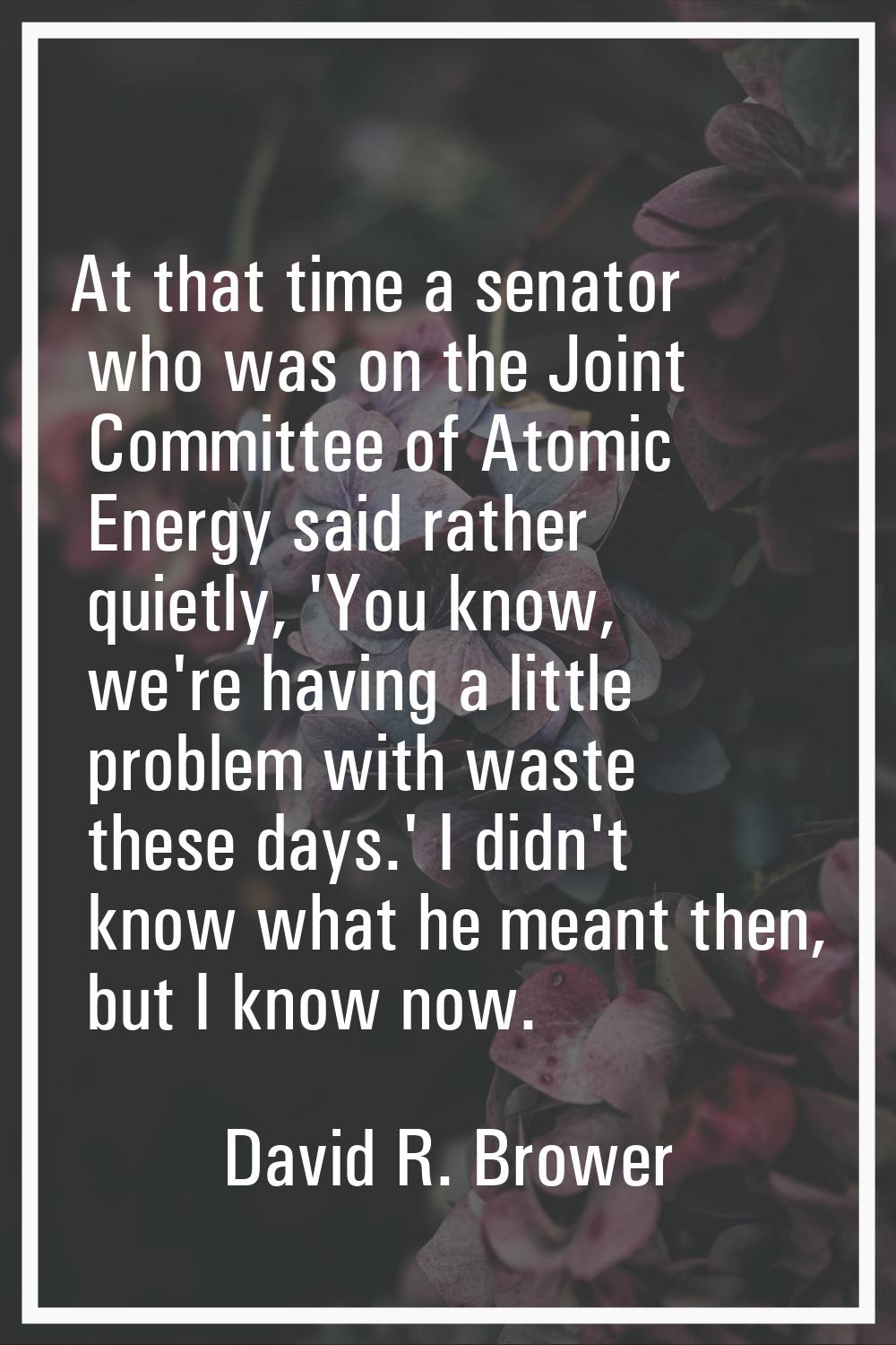 At that time a senator who was on the Joint Committee of Atomic Energy said rather quietly, 'You kn