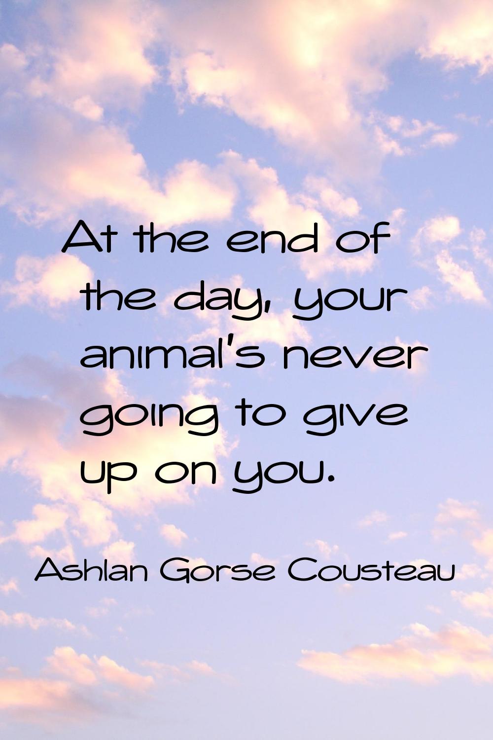 At the end of the day, your animal's never going to give up on you.