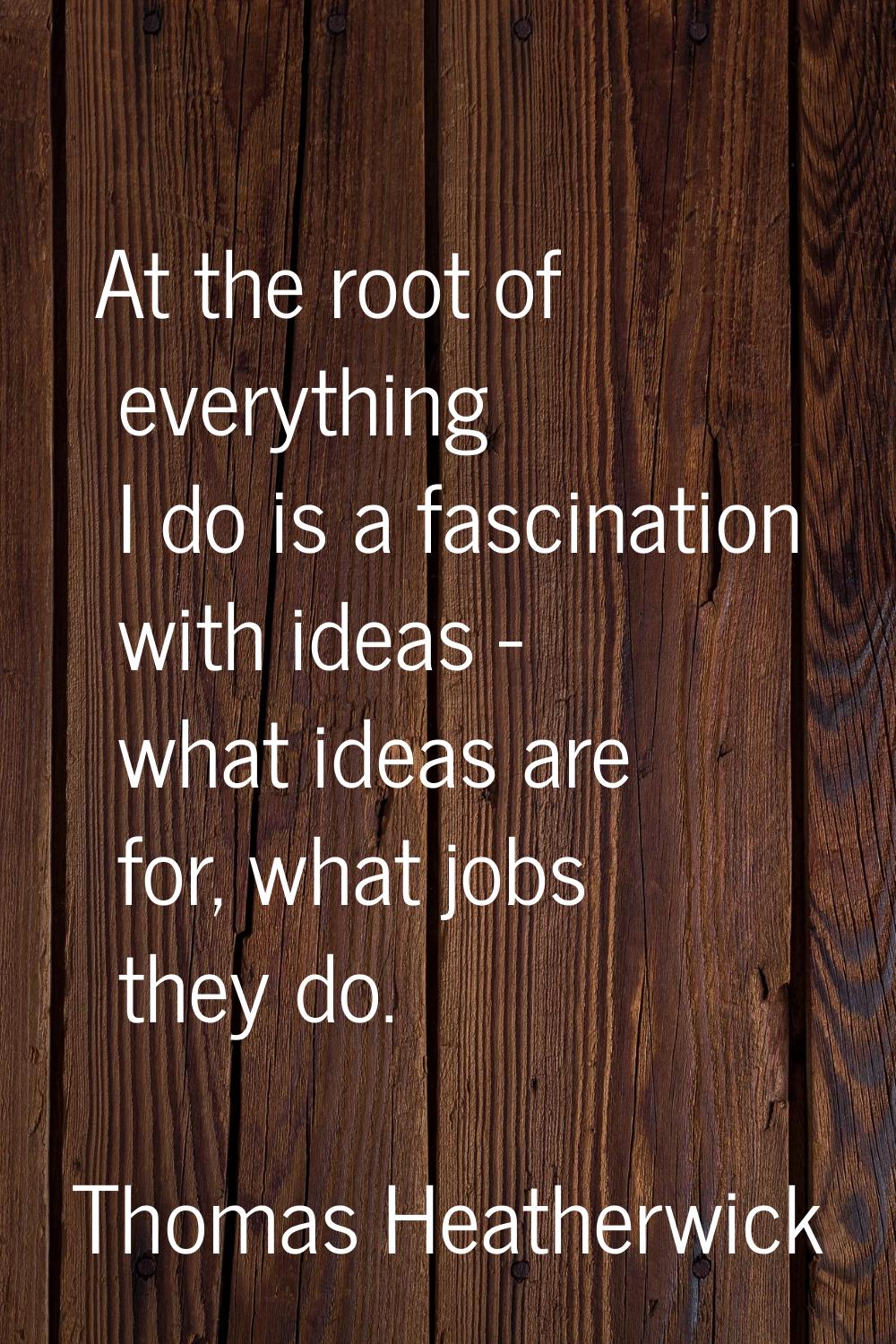 At the root of everything I do is a fascination with ideas - what ideas are for, what jobs they do.