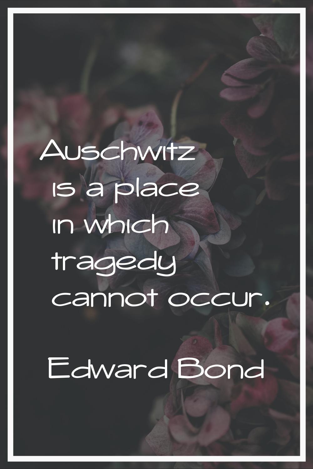 Auschwitz is a place in which tragedy cannot occur.