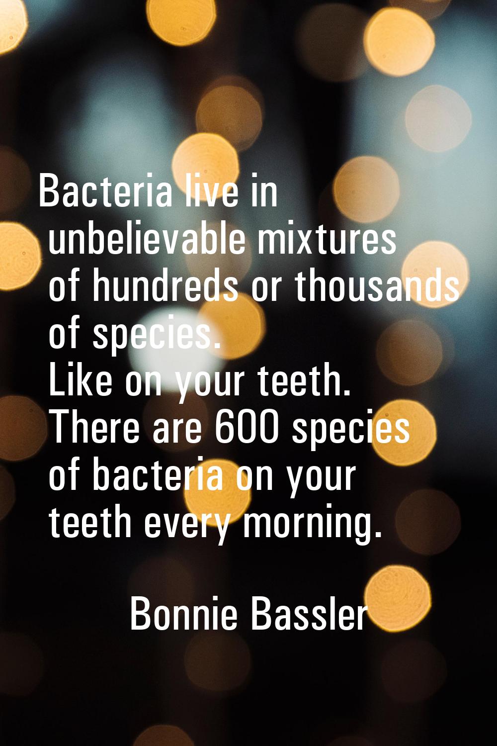 Bacteria live in unbelievable mixtures of hundreds or thousands of species. Like on your teeth. The