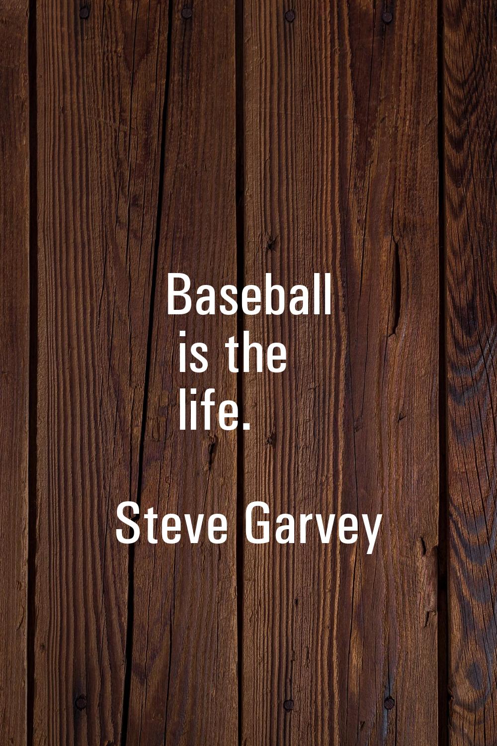 Baseball is the life.