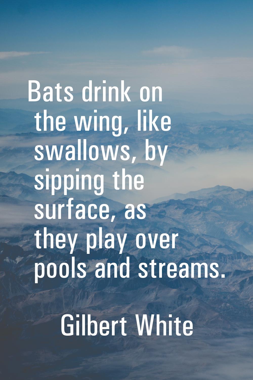 Bats drink on the wing, like swallows, by sipping the surface, as they play over pools and streams.