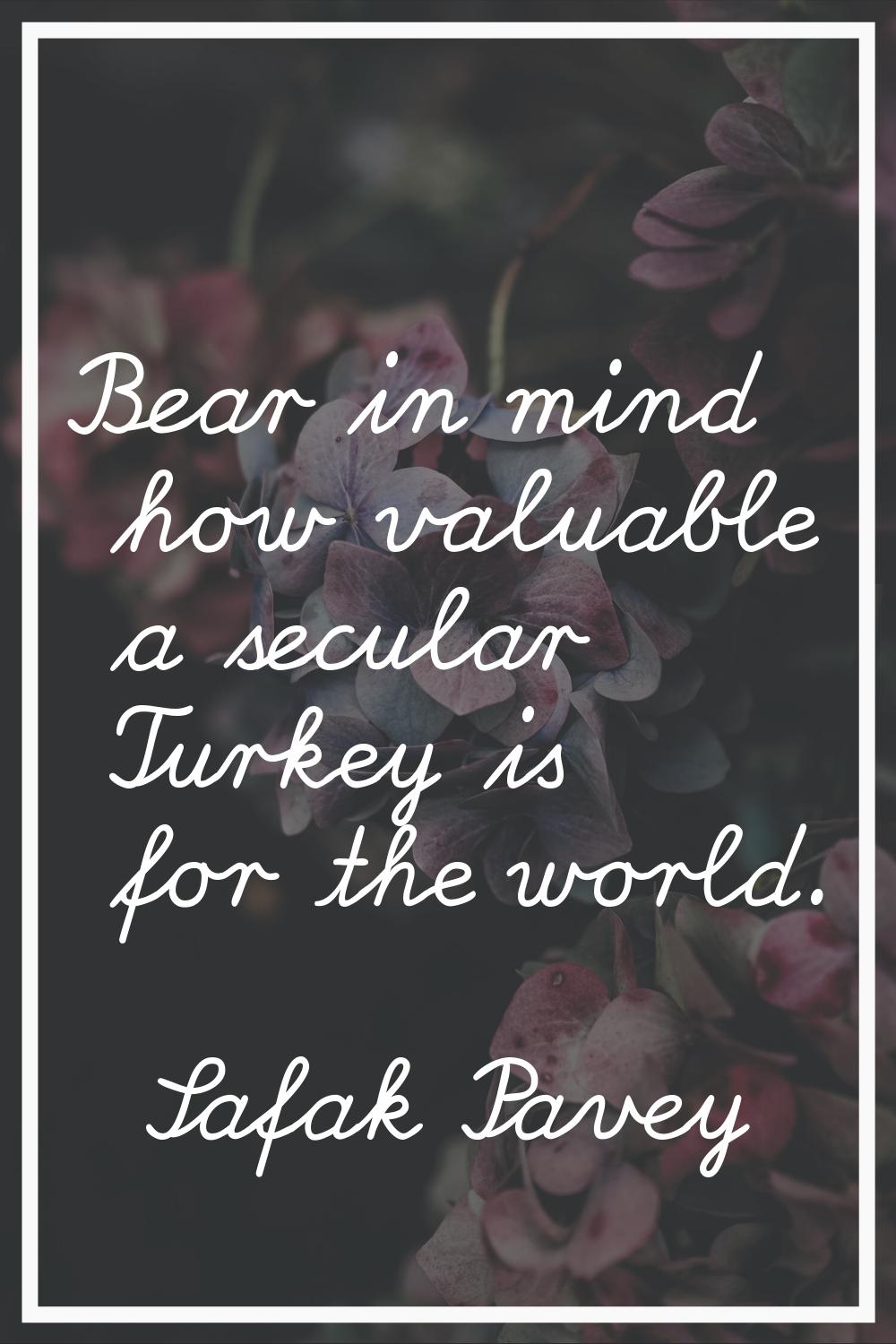 Bear in mind how valuable a secular Turkey is for the world.