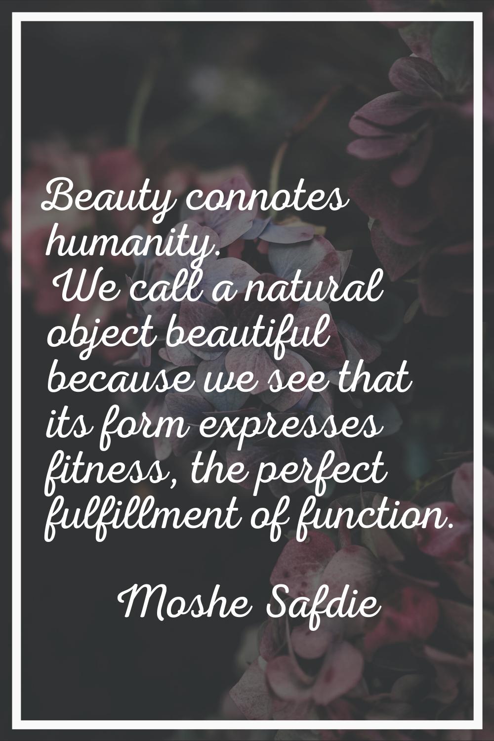 Beauty connotes humanity. We call a natural object beautiful because we see that its form expresses