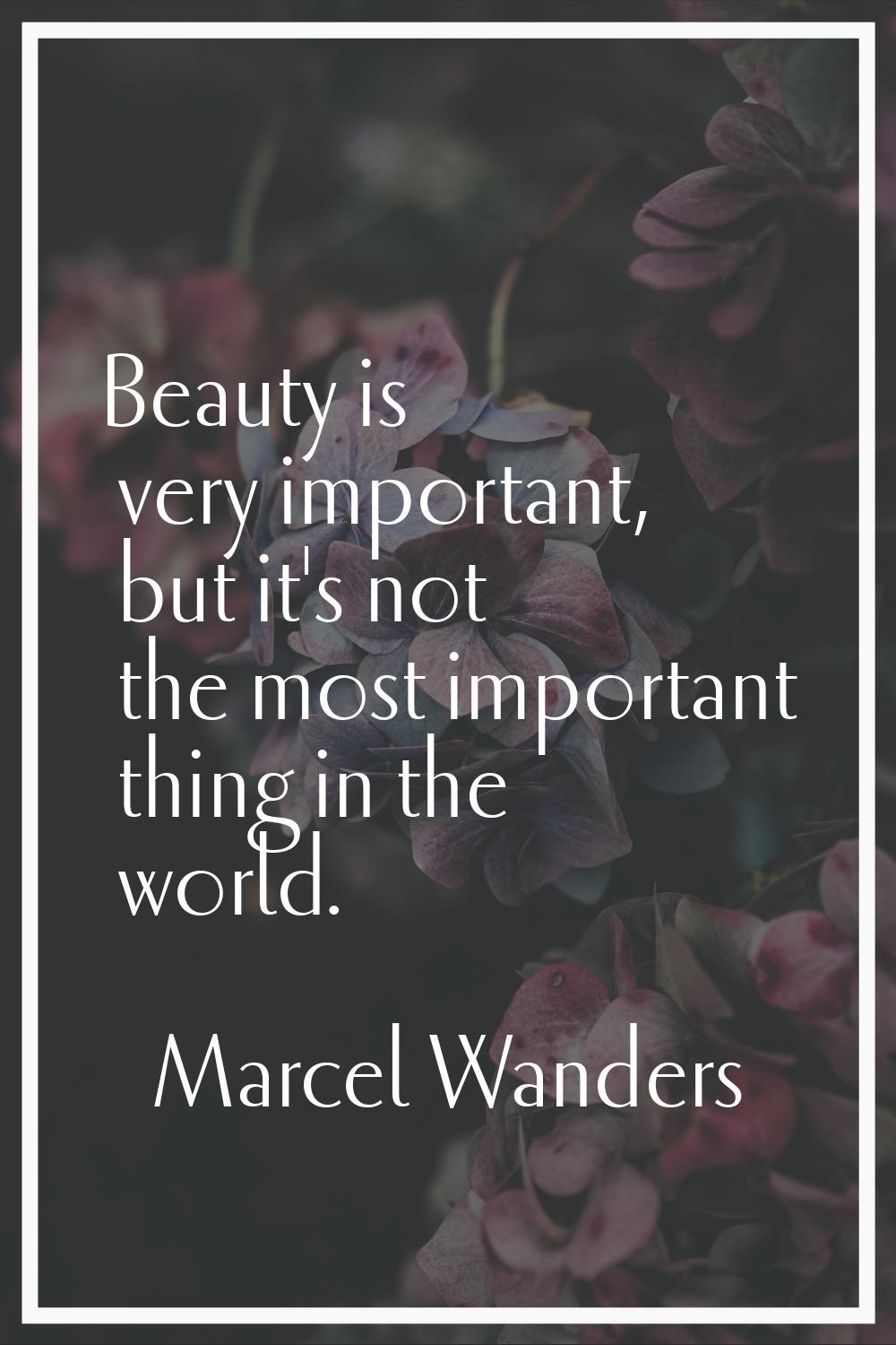 Beauty is very important, but it's not the most important thing in the world.