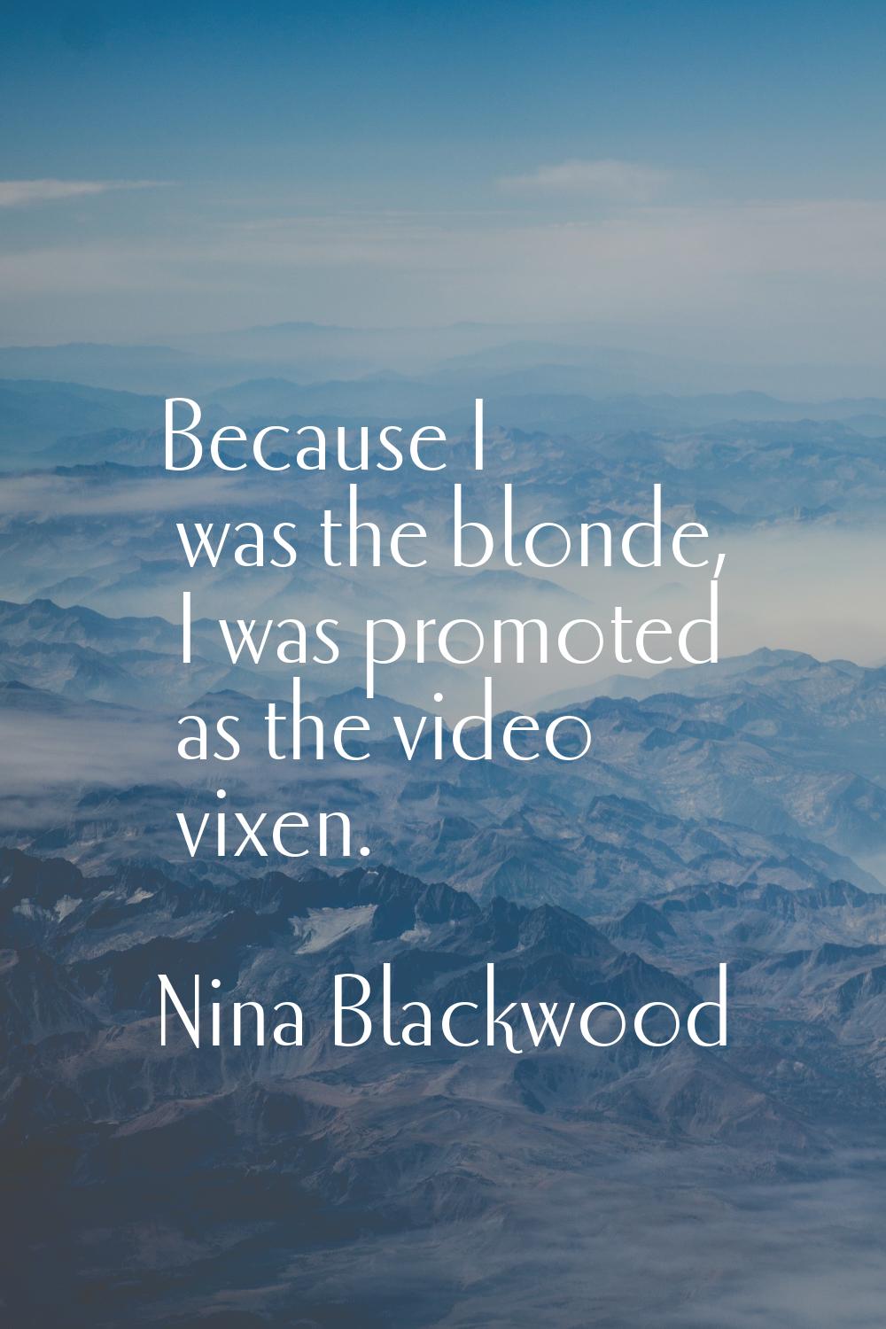 Because I was the blonde, I was promoted as the video vixen.