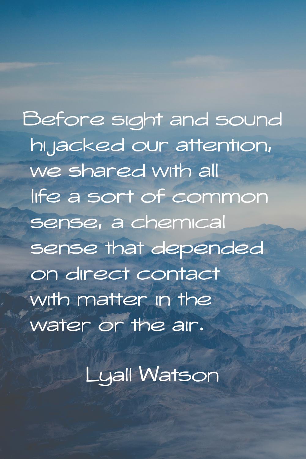 Before sight and sound hijacked our attention, we shared with all life a sort of common sense, a ch