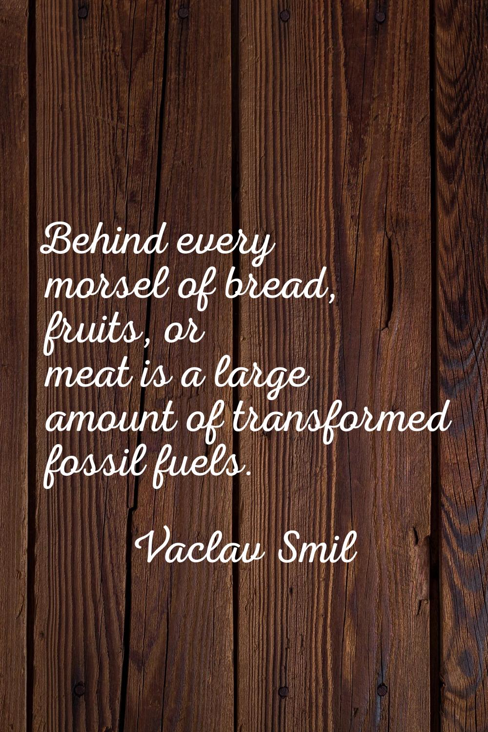 Behind every morsel of bread, fruits, or meat is a large amount of transformed fossil fuels.