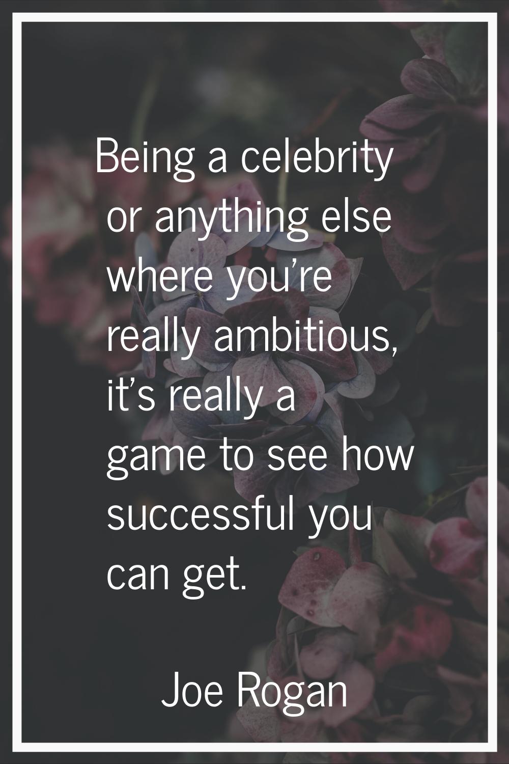 Being a celebrity or anything else where you're really ambitious, it's really a game to see how suc