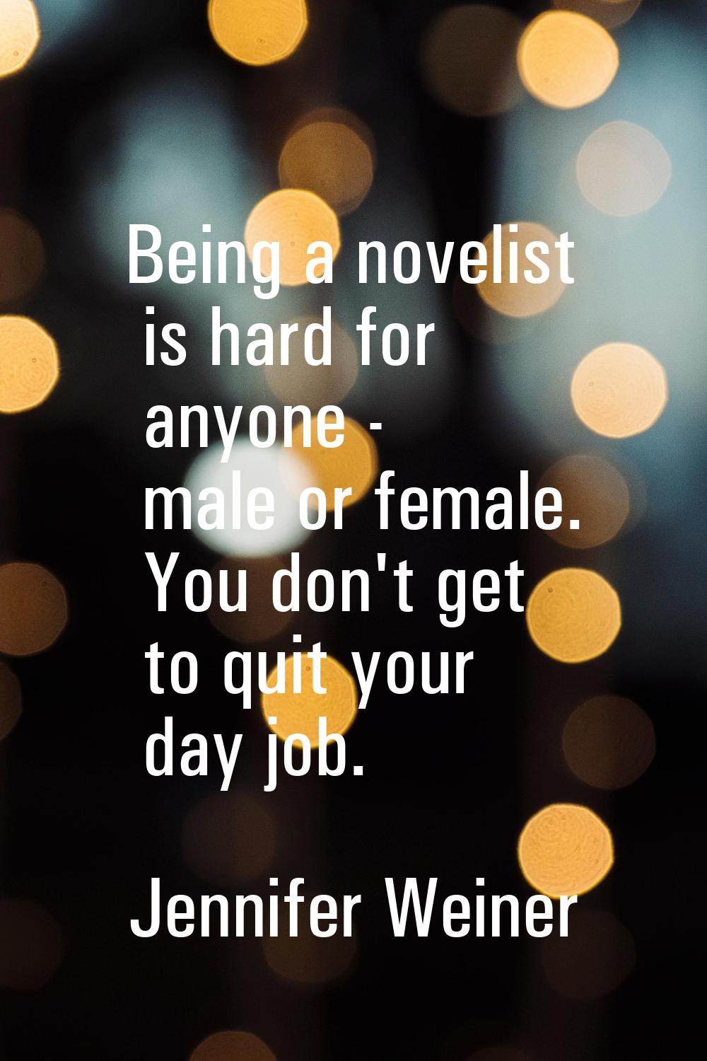 Being a novelist is hard for anyone - male or female. You don't get to quit your day job.