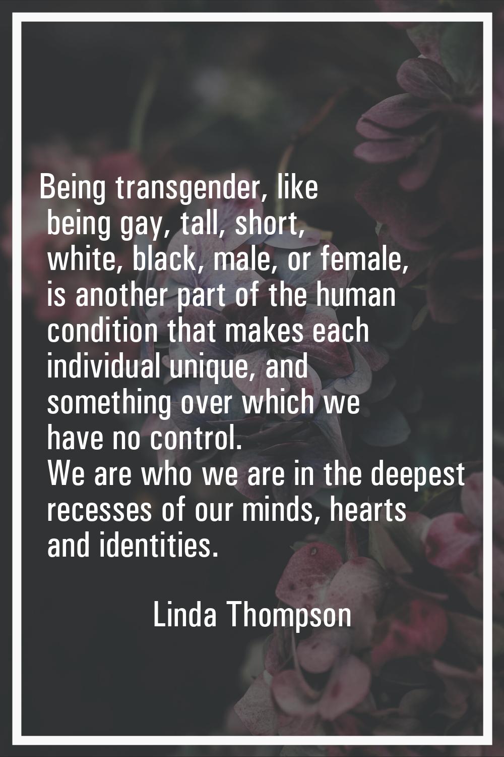 Being transgender, like being gay, tall, short, white, black, male, or female, is another part of t