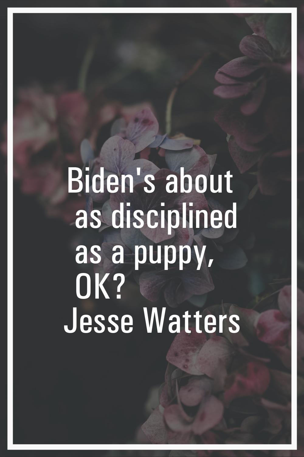 Biden's about as disciplined as a puppy, OK?