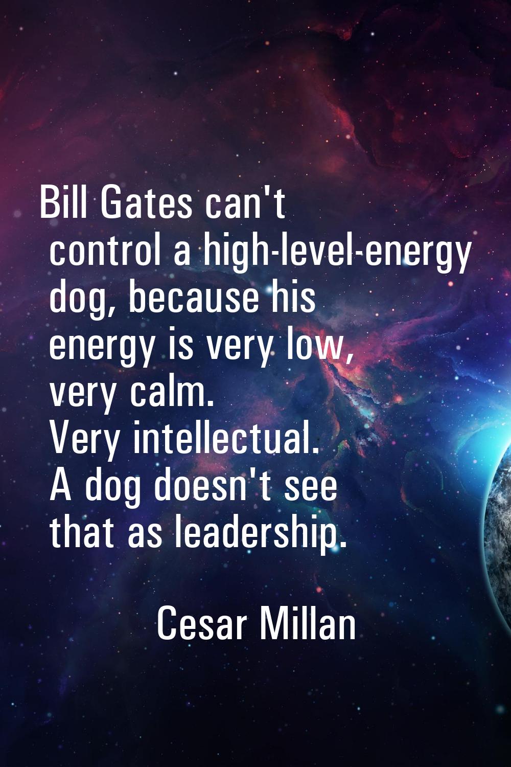 Bill Gates can't control a high-level-energy dog, because his energy is very low, very calm. Very i