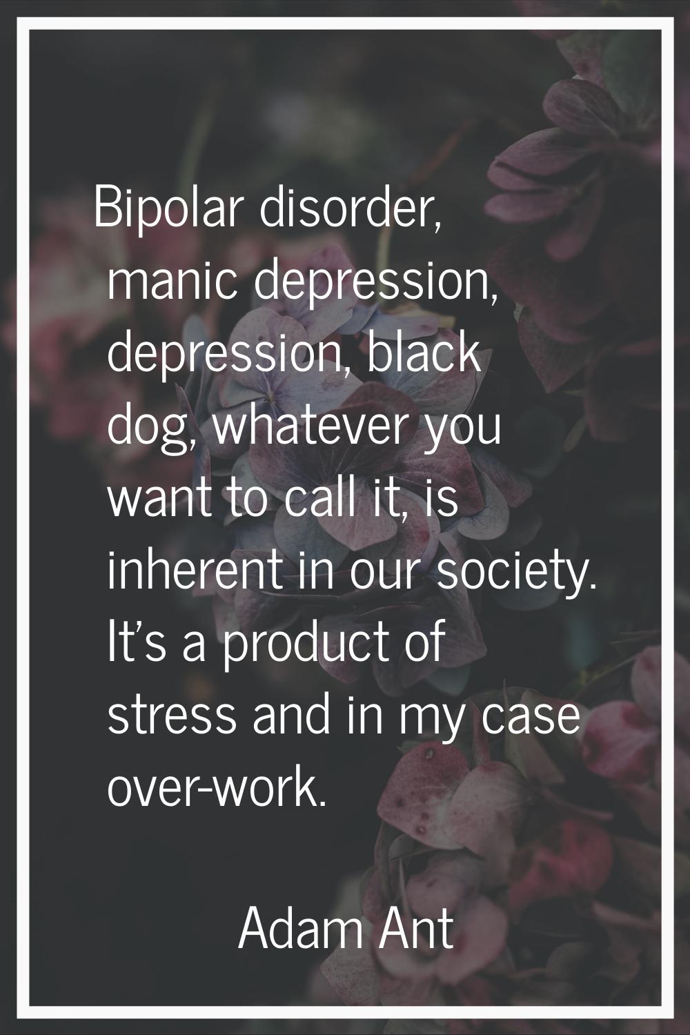 Bipolar disorder, manic depression, depression, black dog, whatever you want to call it, is inheren
