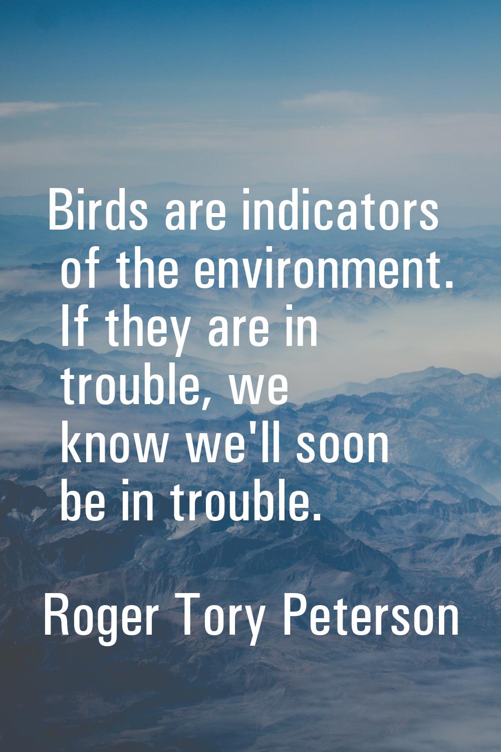Birds are indicators of the environment. If they are in trouble, we know we'll soon be in trouble.