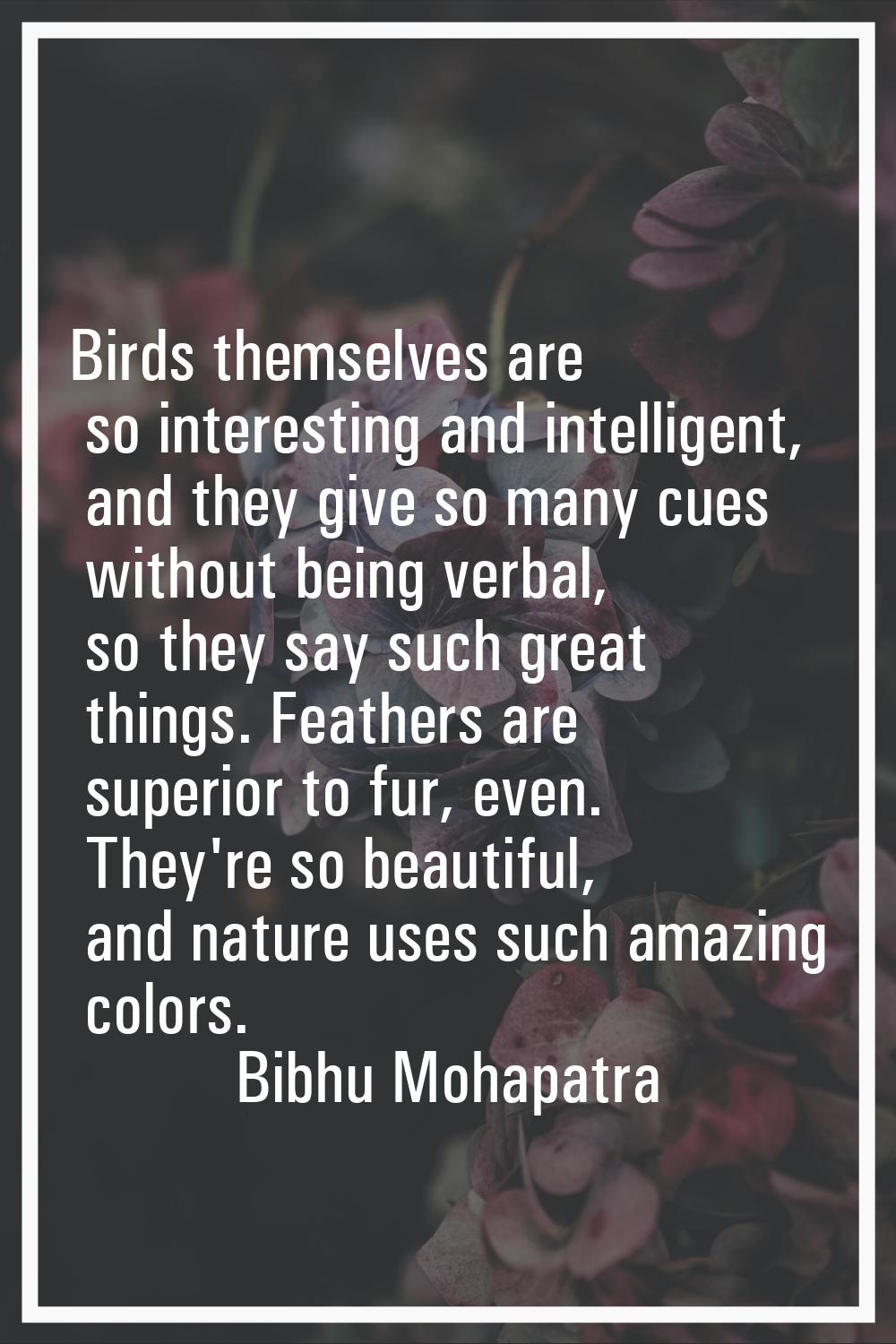 Birds themselves are so interesting and intelligent, and they give so many cues without being verba