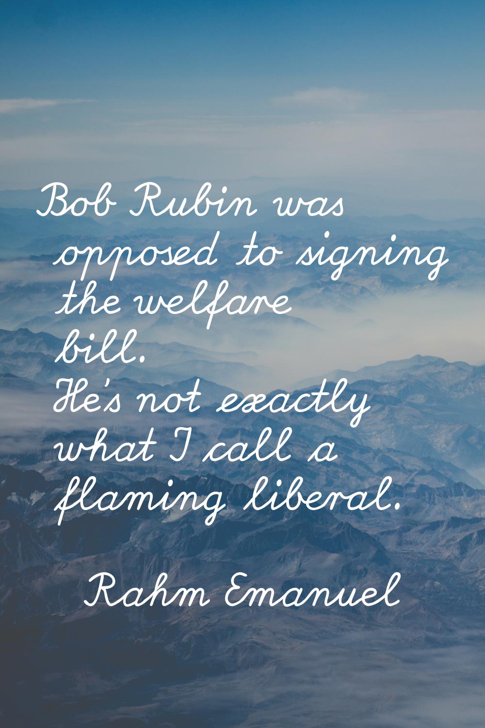 Bob Rubin was opposed to signing the welfare bill. He's not exactly what I call a flaming liberal.