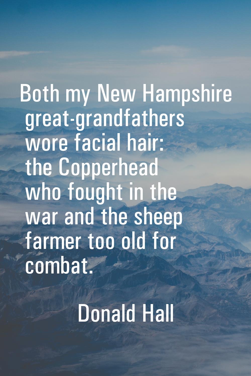 Both my New Hampshire great-grandfathers wore facial hair: the Copperhead who fought in the war and