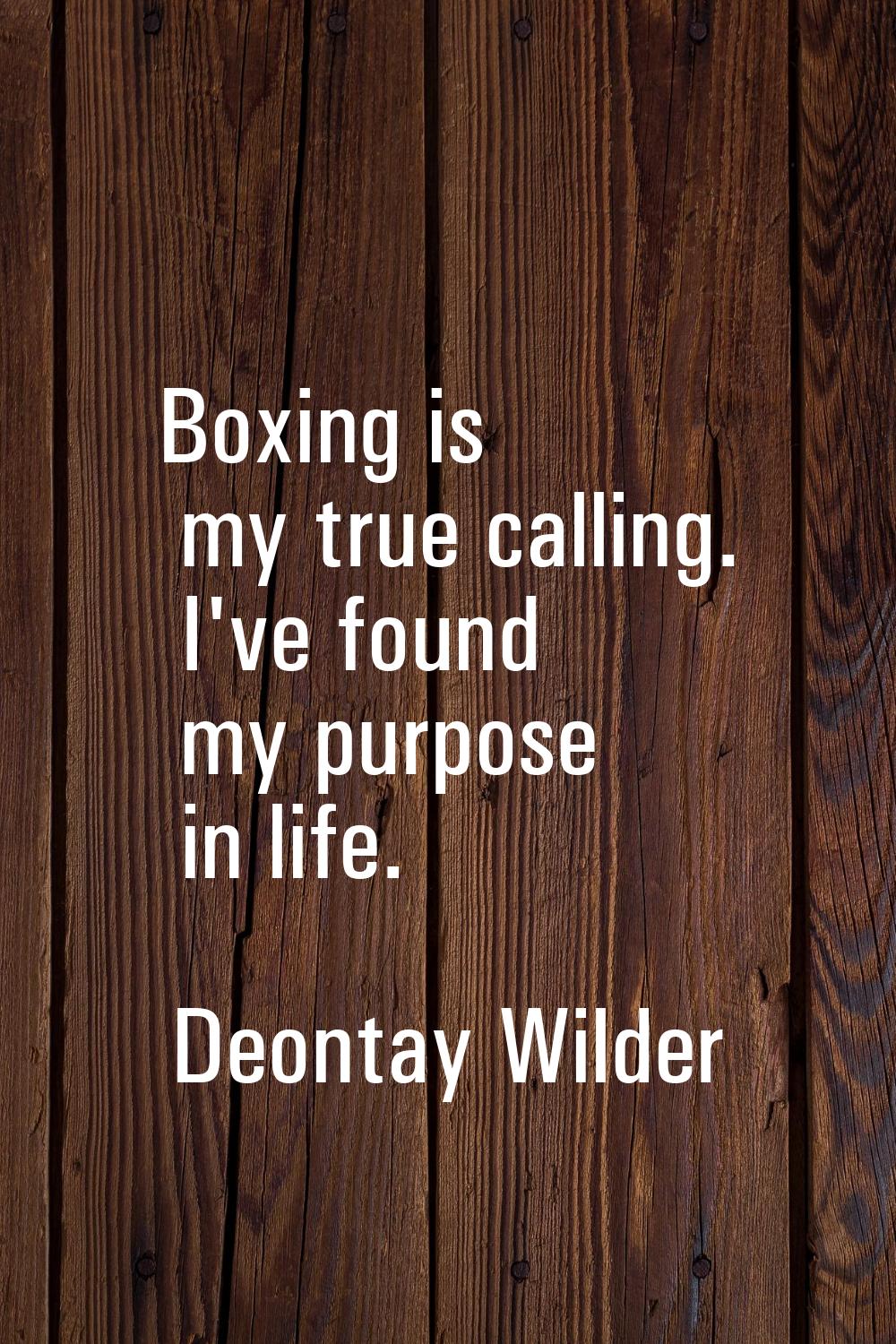 Boxing is my true calling. I've found my purpose in life.