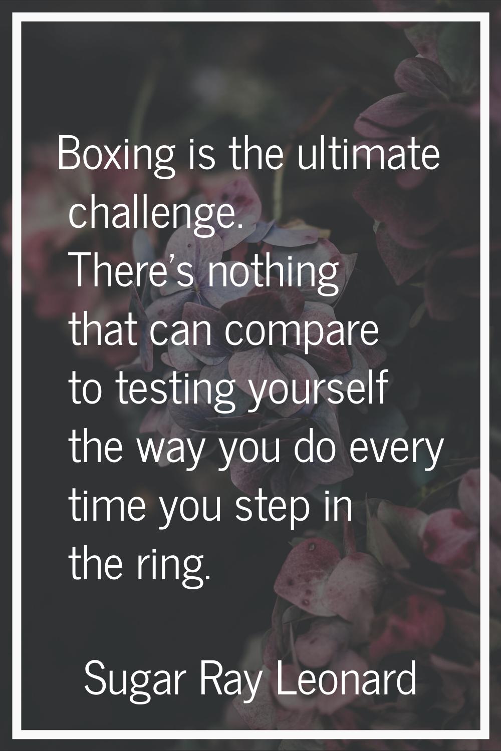 Boxing is the ultimate challenge. There's nothing that can compare to testing yourself the way you 