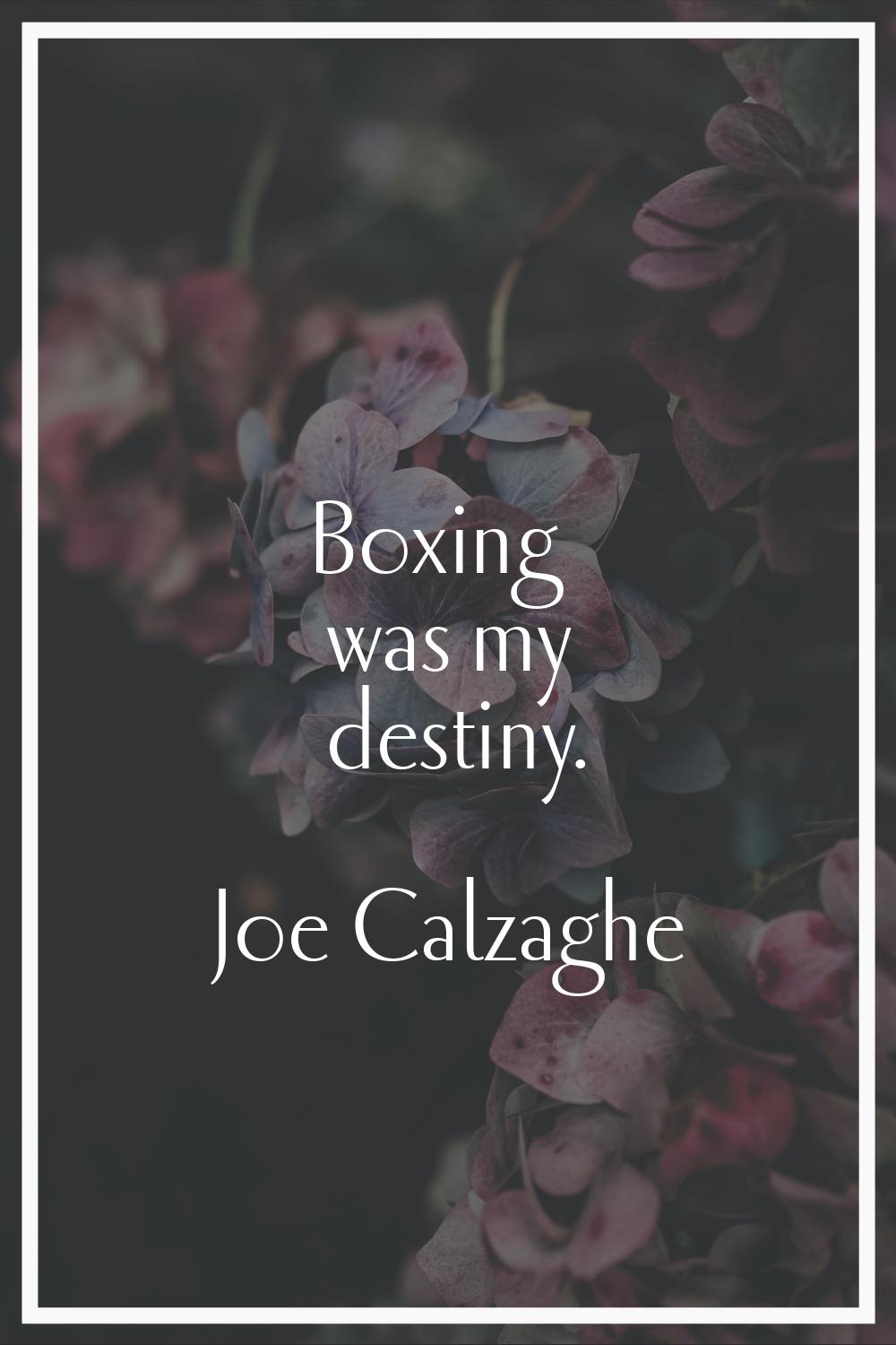 Boxing was my destiny.