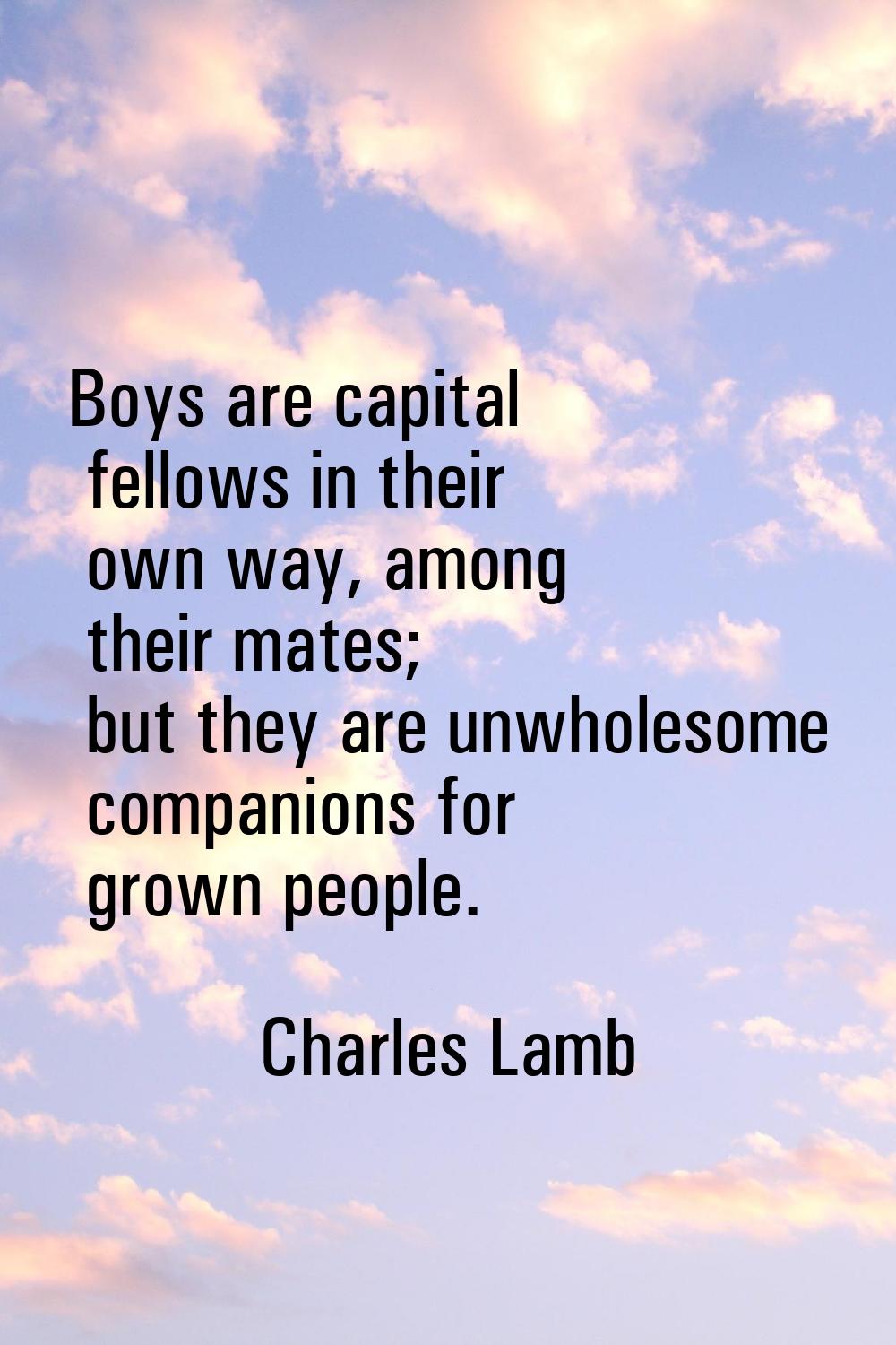 Boys are capital fellows in their own way, among their mates; but they are unwholesome companions f