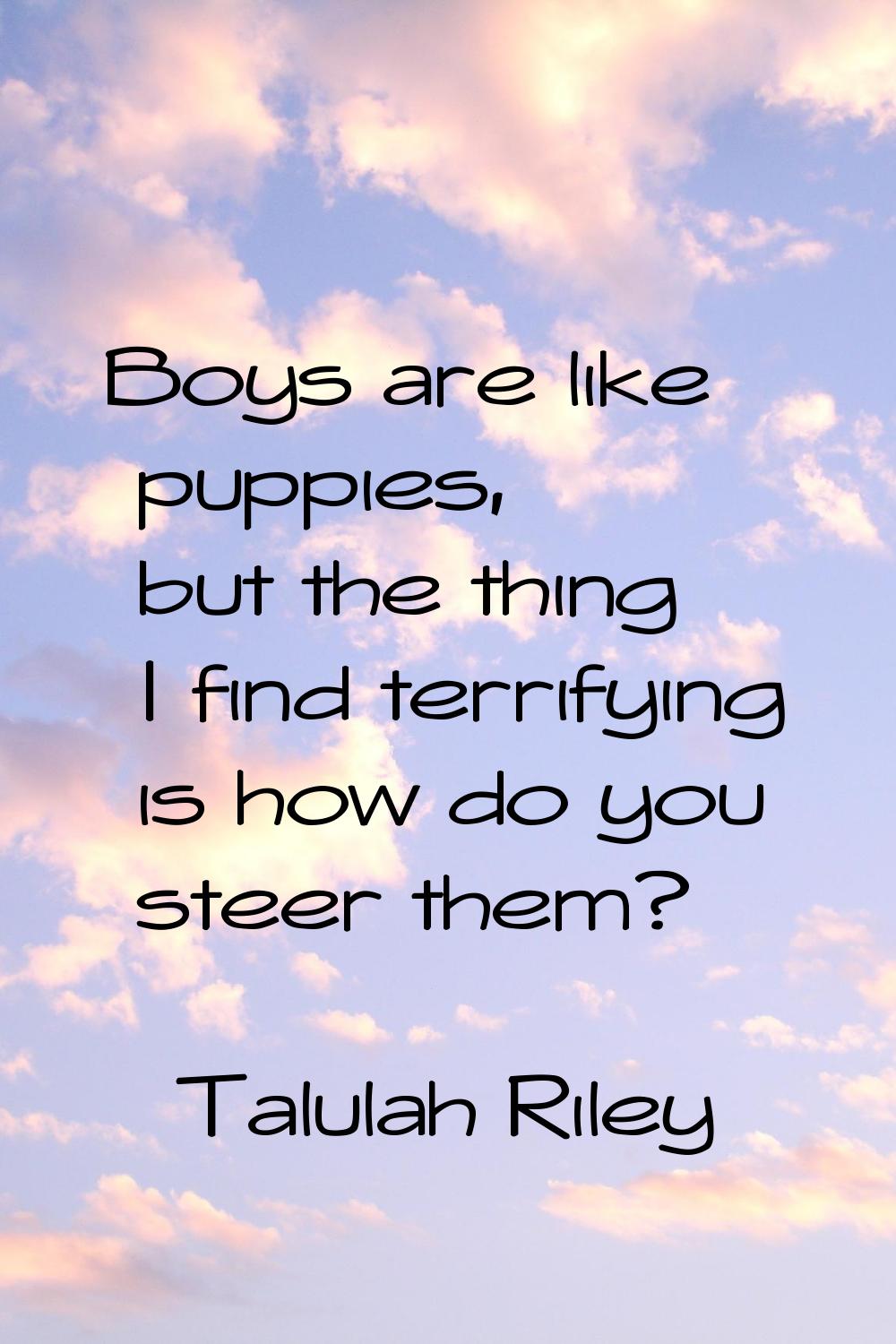 Boys are like puppies, but the thing I find terrifying is how do you steer them?