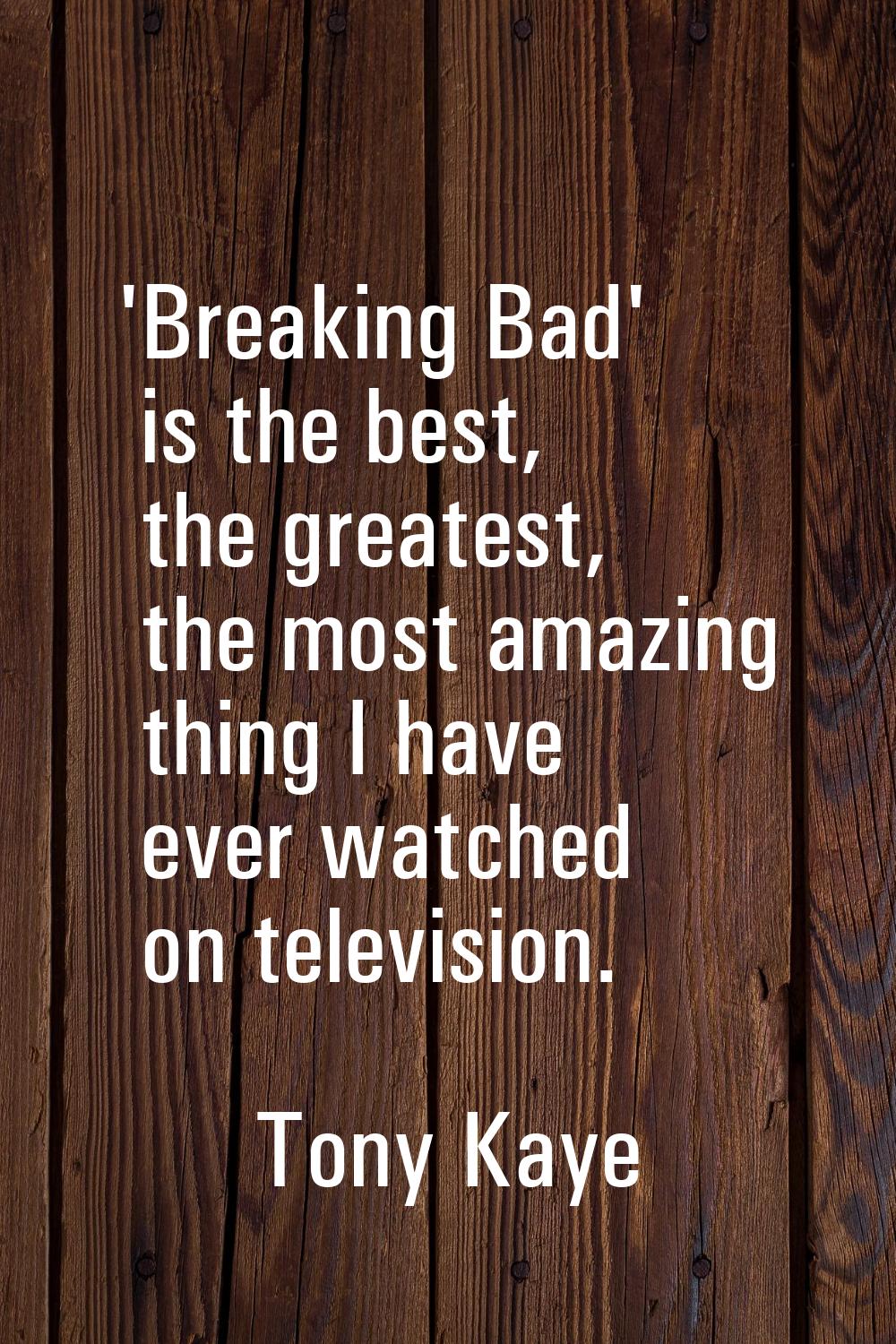 'Breaking Bad' is the best, the greatest, the most amazing thing I have ever watched on television.
