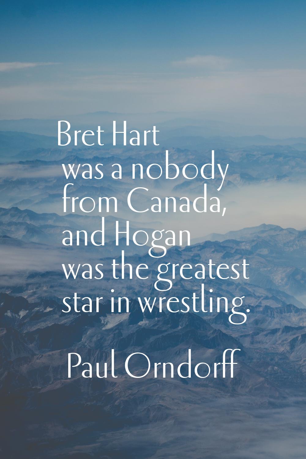 Bret Hart was a nobody from Canada, and Hogan was the greatest star in wrestling.