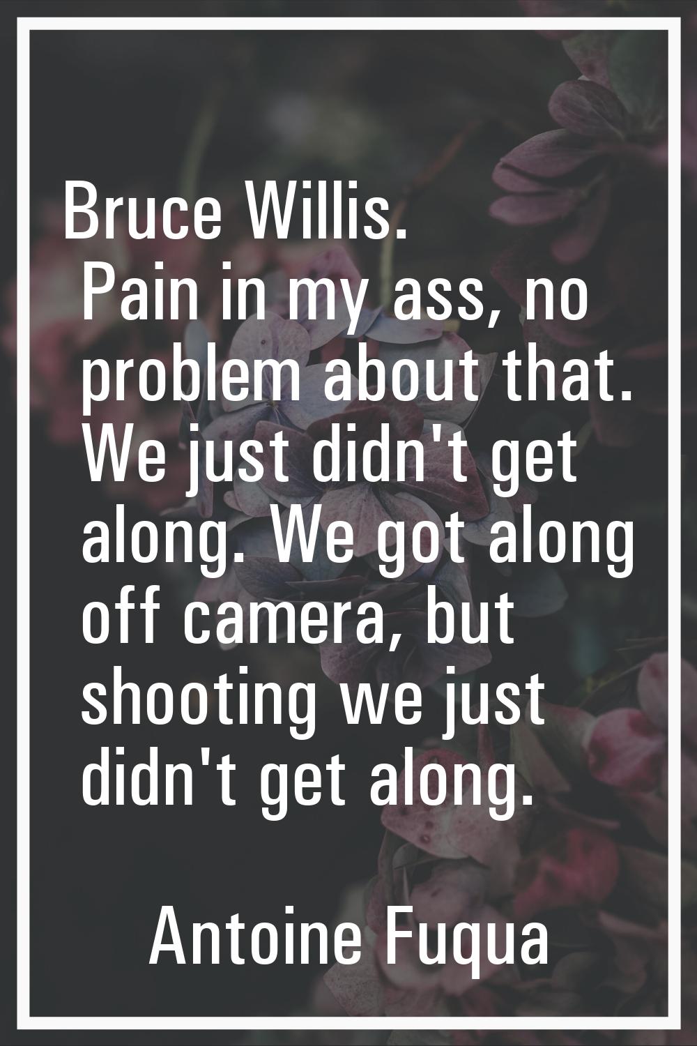 Bruce Willis. Pain in my ass, no problem about that. We just didn't get along. We got along off cam