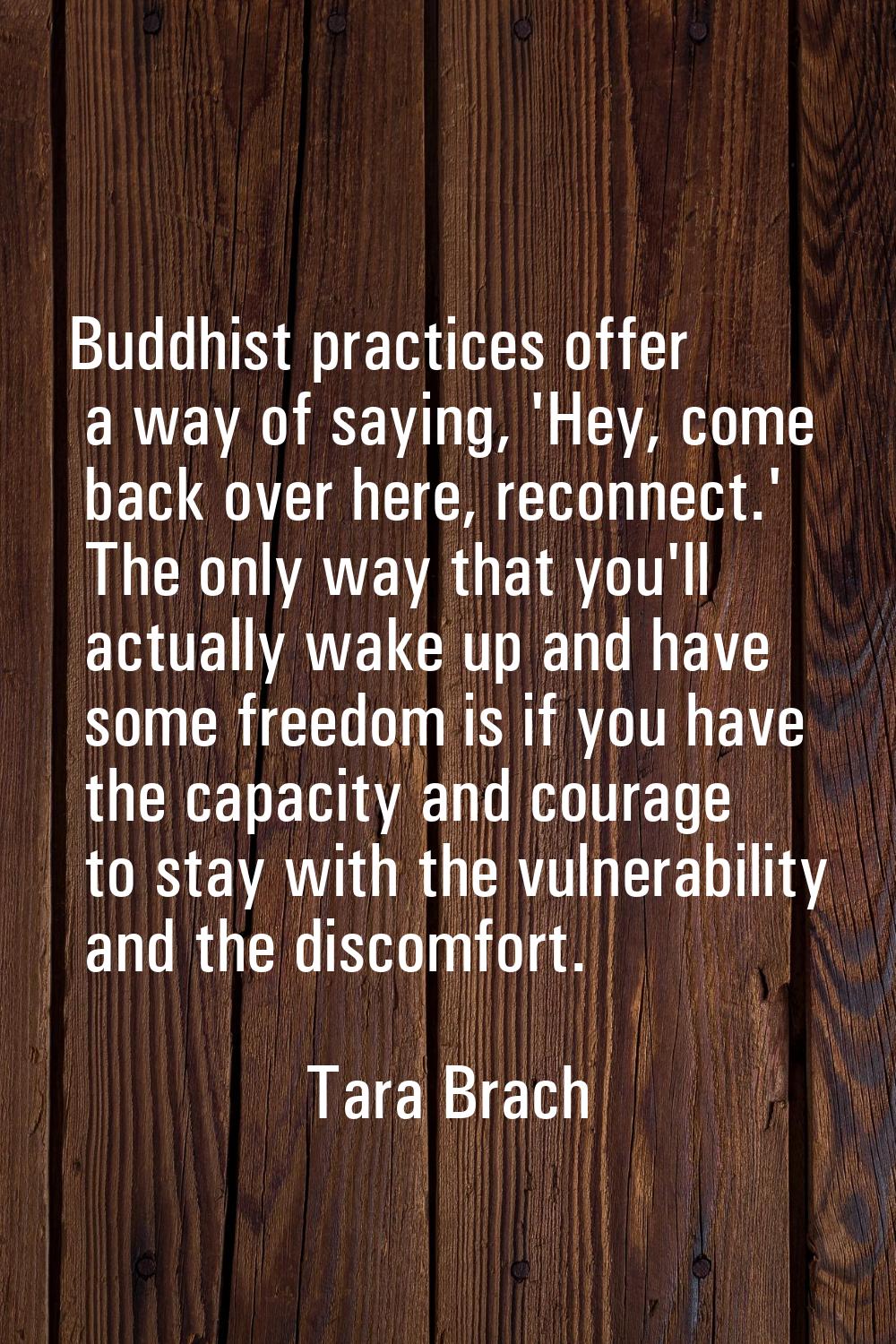 Buddhist practices offer a way of saying, 'Hey, come back over here, reconnect.' The only way that 