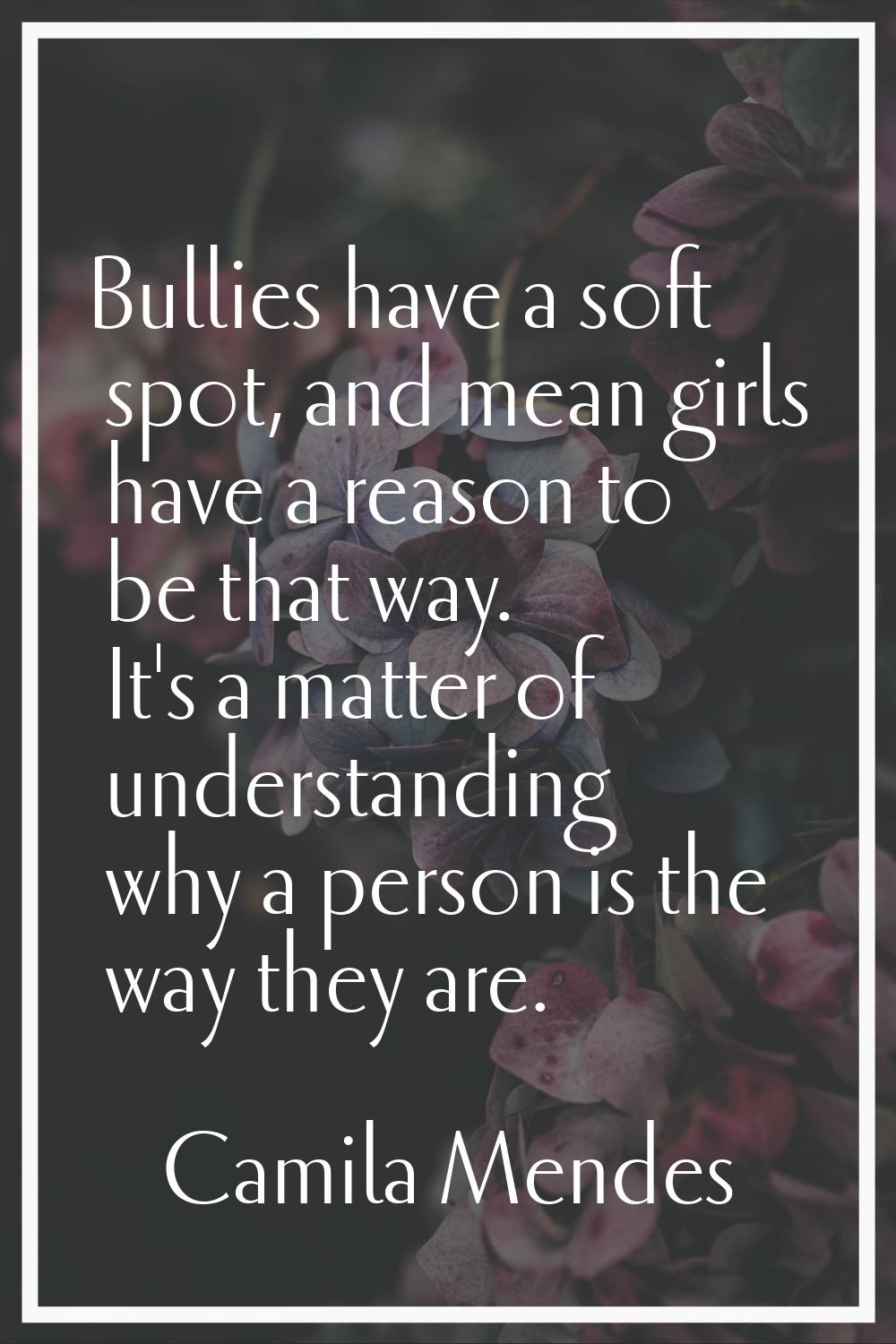 Bullies have a soft spot, and mean girls have a reason to be that way. It's a matter of understandi
