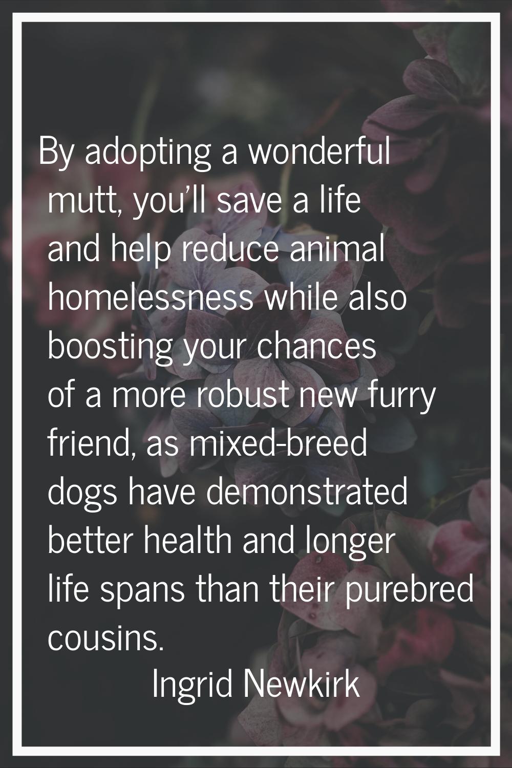 By adopting a wonderful mutt, you'll save a life and help reduce animal homelessness while also boo
