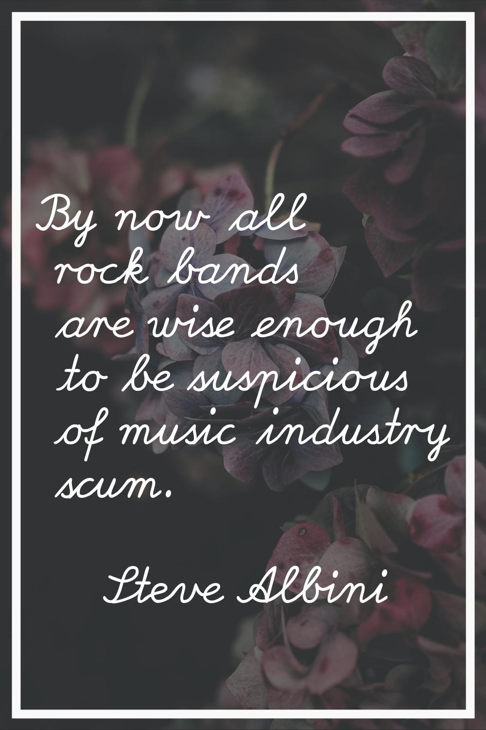 By now all rock bands are wise enough to be suspicious of music industry scum.