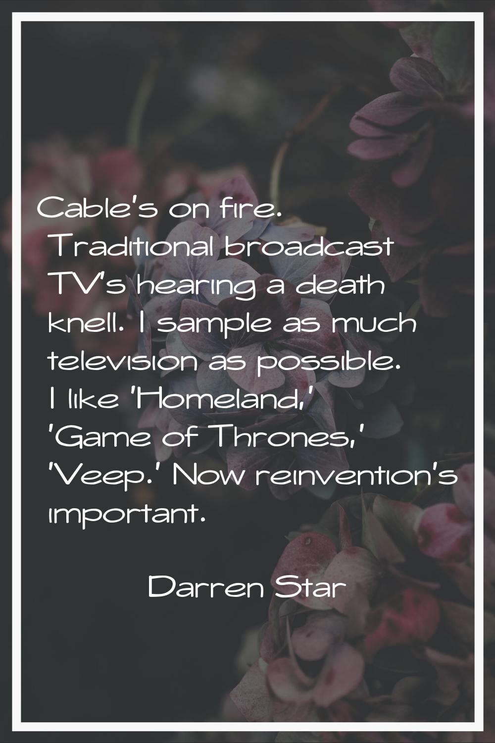 Cable's on fire. Traditional broadcast TV's hearing a death knell. I sample as much television as p