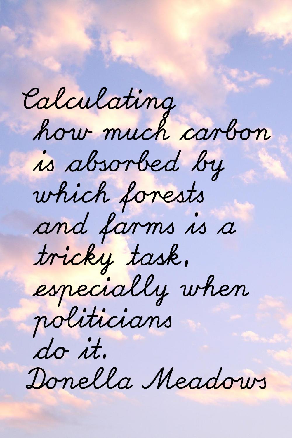 Calculating how much carbon is absorbed by which forests and farms is a tricky task, especially whe