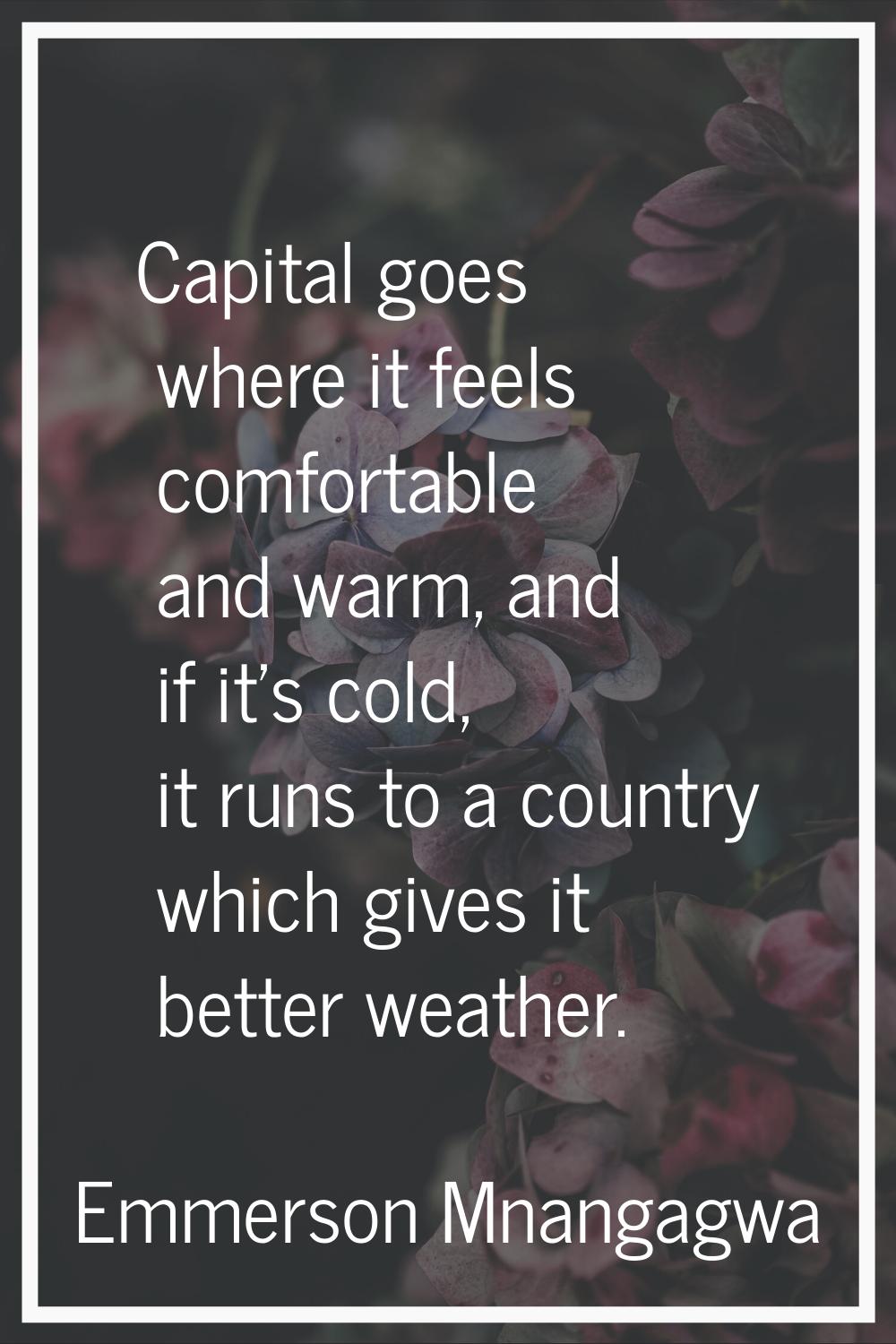 Capital goes where it feels comfortable and warm, and if it's cold, it runs to a country which give