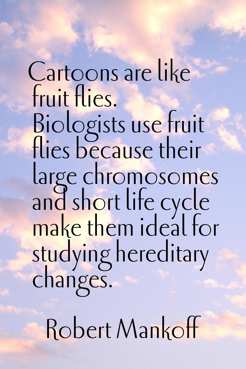 Cartoons are like fruit flies. Biologists use fruit flies because their large chromosomes and short