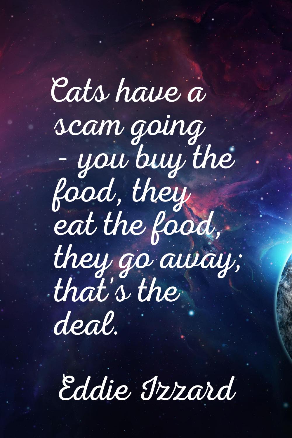 Cats have a scam going - you buy the food, they eat the food, they go away; that's the deal.