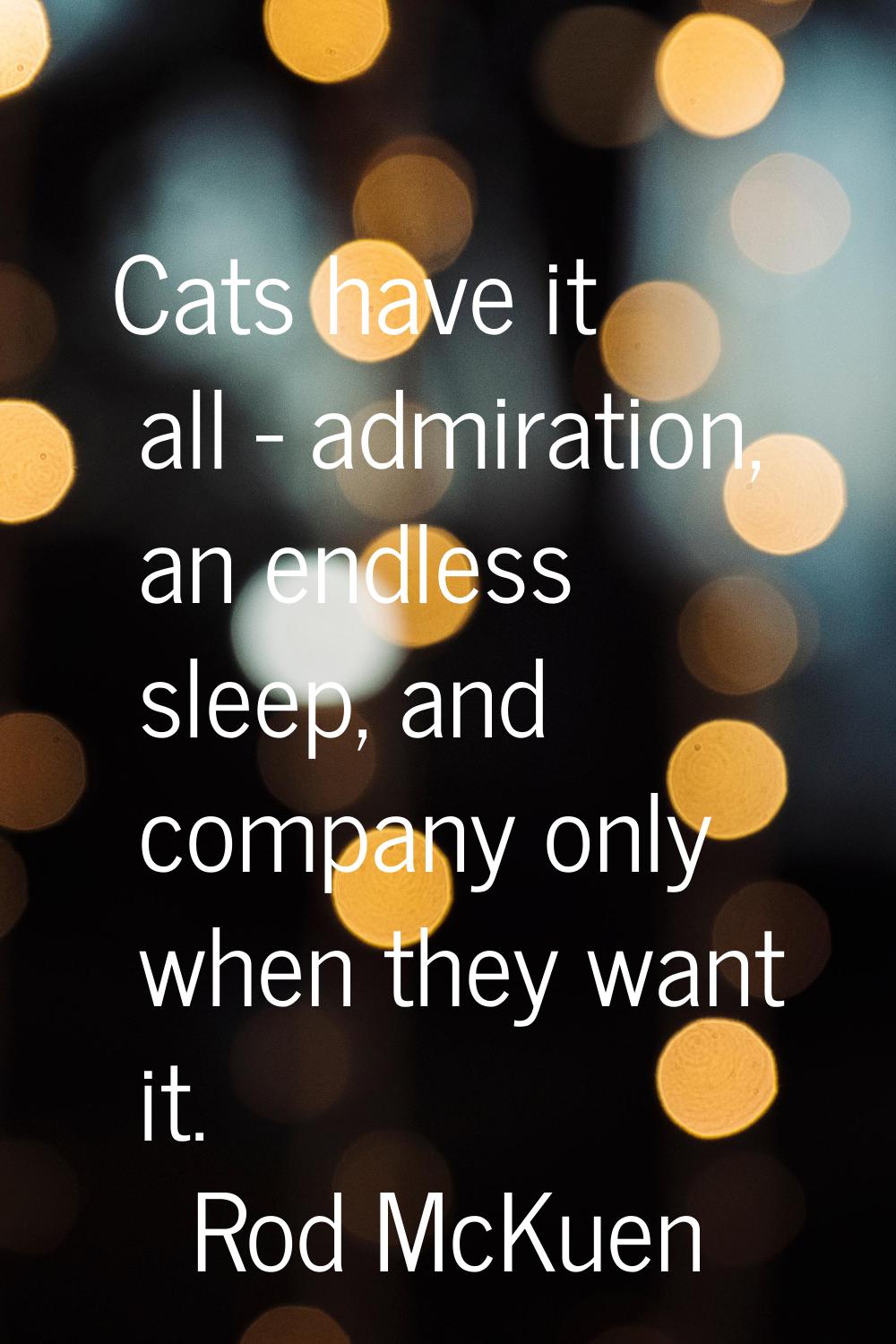 Cats have it all - admiration, an endless sleep, and company only when they want it.