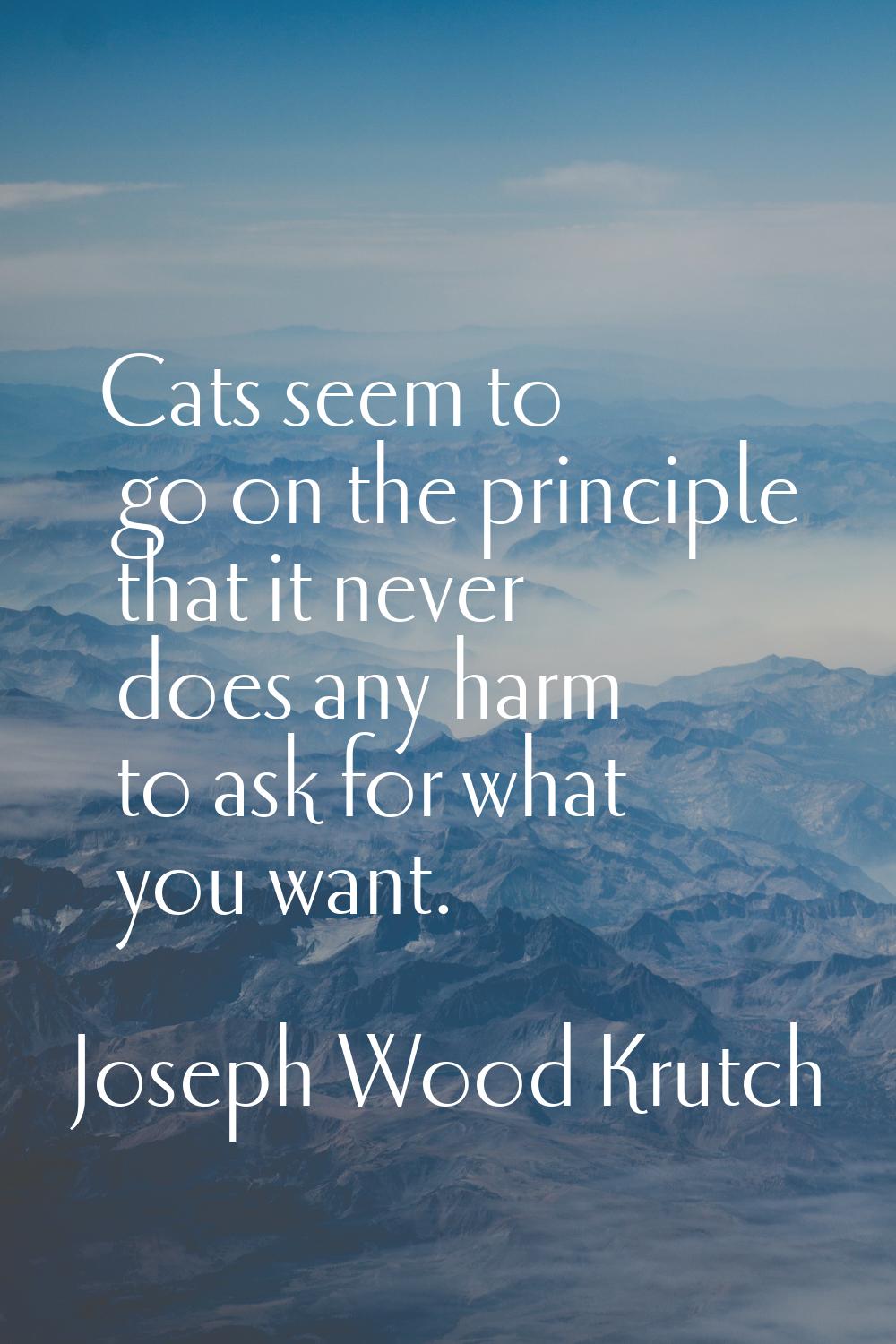 Cats seem to go on the principle that it never does any harm to ask for what you want.