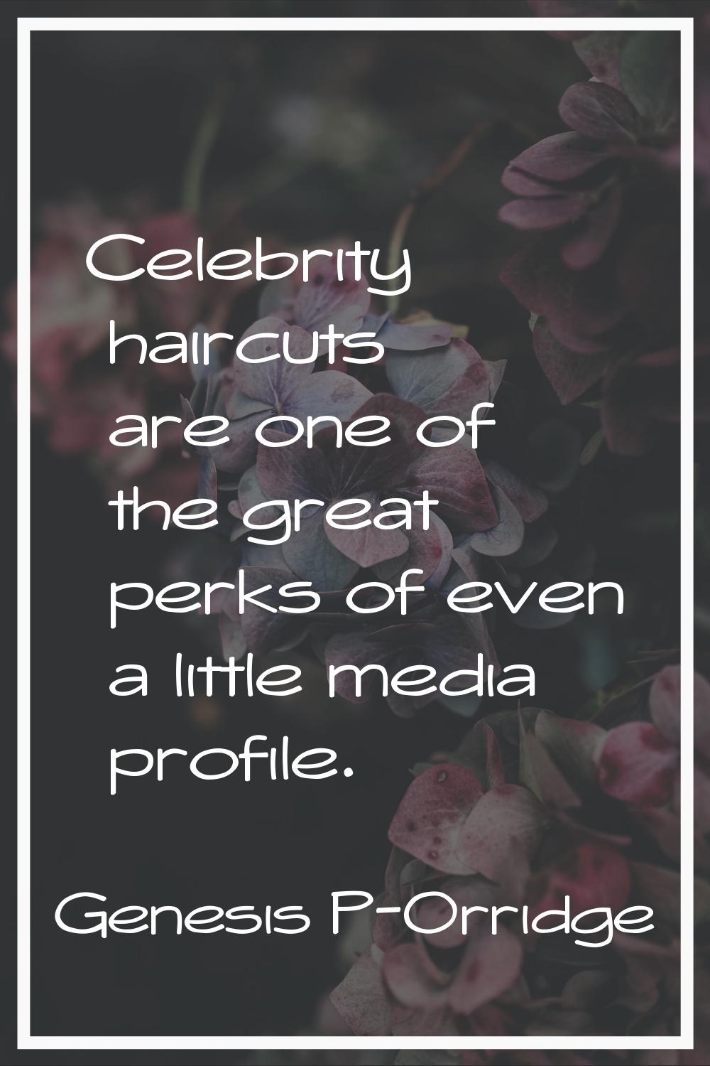 Celebrity haircuts are one of the great perks of even a little media profile.