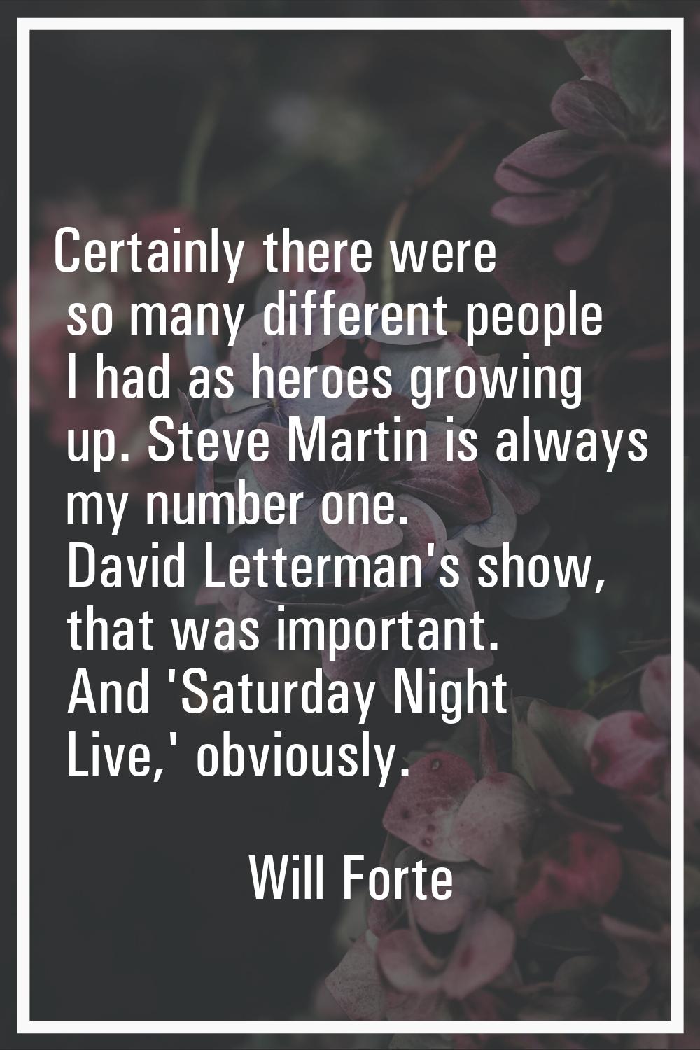 Certainly there were so many different people I had as heroes growing up. Steve Martin is always my
